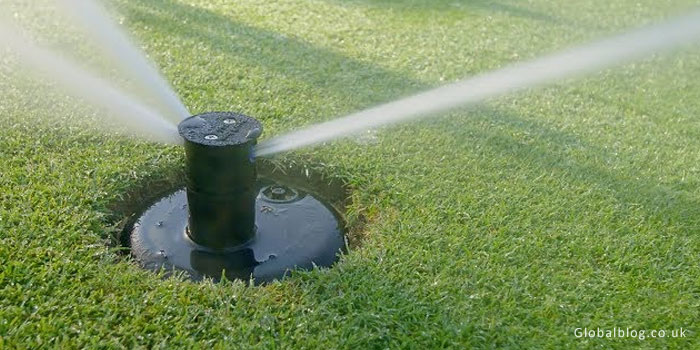 Finnegan Field Water Turf