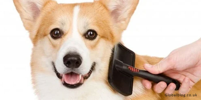 Dog Slicker Brush