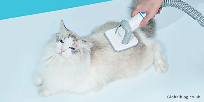 Pet Grooming Vacuum