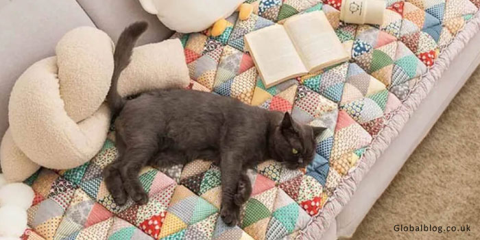 Sofa Covers for Pets