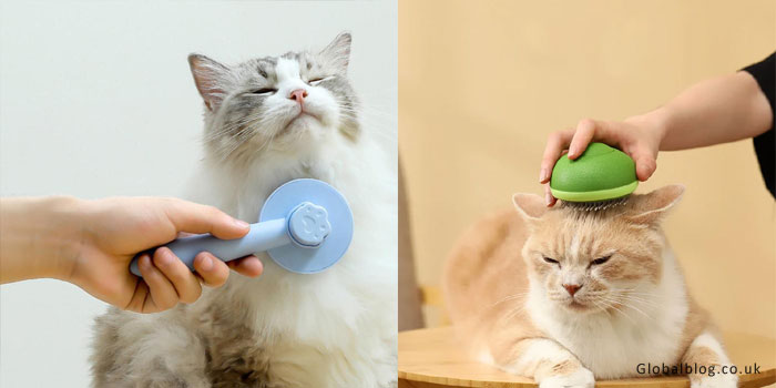 Cat Hair Brush